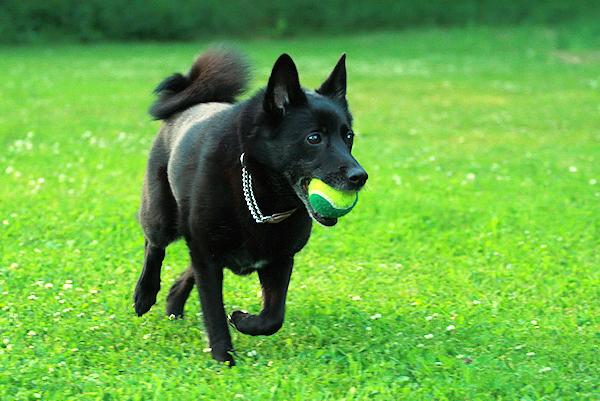 Freia and a ball